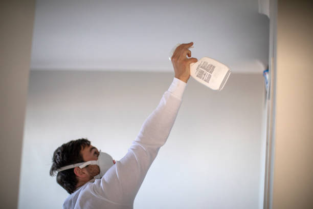 Best Commercial Mold Removal  in Mesilla, NM
